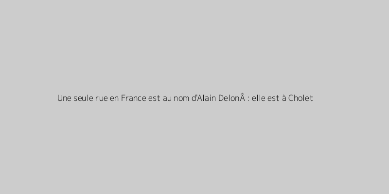 Une seule rue en France est au nom d'Alain DelonÂ : elle est à Cholet